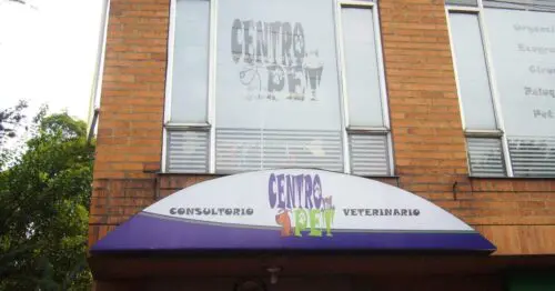 CONSULTORIO VETERINARIO CENTRO PET BOGOTÁ CONSULTORIO VETERINARIO CENTRO PET BOGOTÁ
